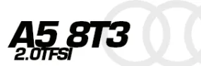 A5 8T3 2.0TFSI